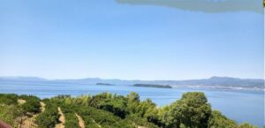 (簑島方面を望んで)