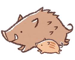 (ネット写真より)